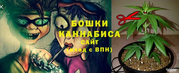 герыч Дмитриев