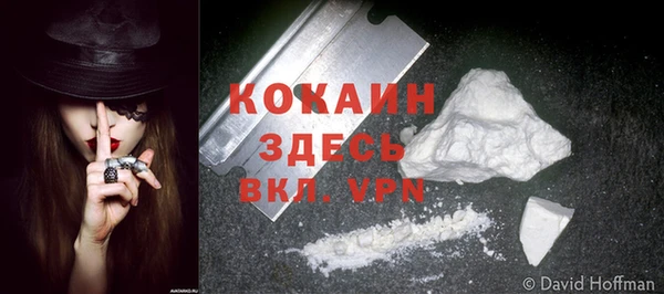 соль курить ск Дмитров